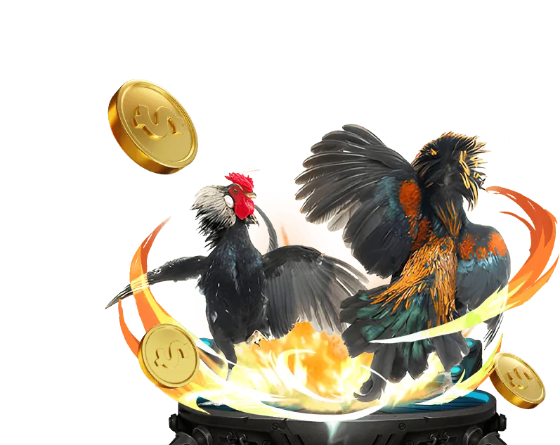 Các giống gà chiến nổi tiếng