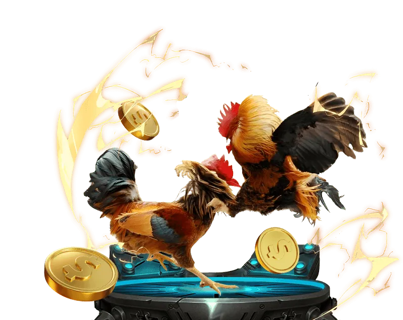 Chương trình VIP độc quyền Đá Gà Trực Thomo